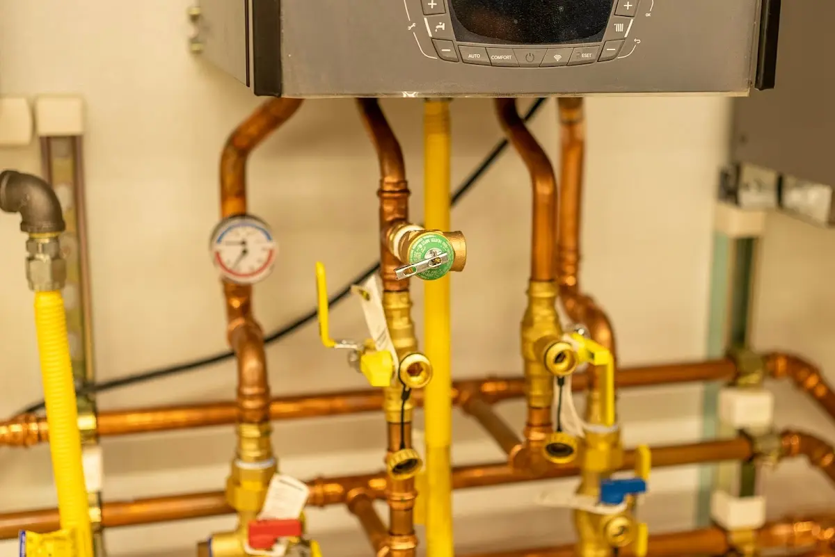 Licensed technician providing Sewer Cleanout for a homeowner in Tiptonville